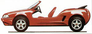 BX 19 Cabrio: Sbarro BX Evasion